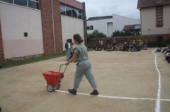 Rotofil 36 * 5760 x 3840 * (7.99MB)